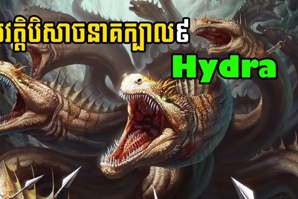 Hydra tor link