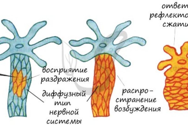 Kraken 4 ссылка