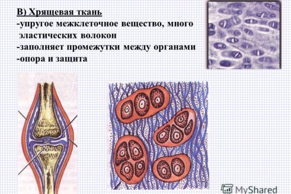 Даркнет официальный сайт вход