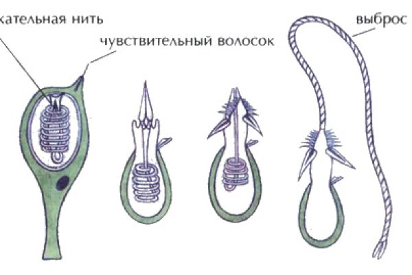 Кракен это современный даркнет